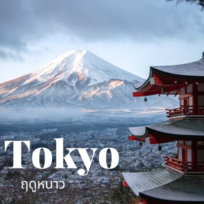 ญี่ปุ่น…ดินแดนแห่งซากุระและวัฒนธรรม